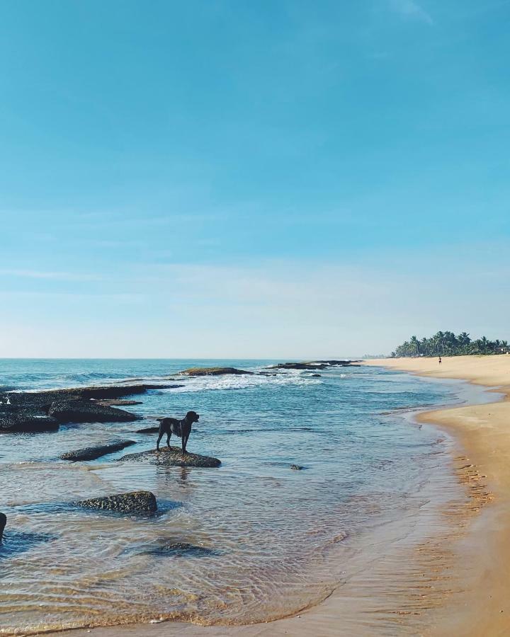 Vila Fruta Pao Карайва Экстерьер фото